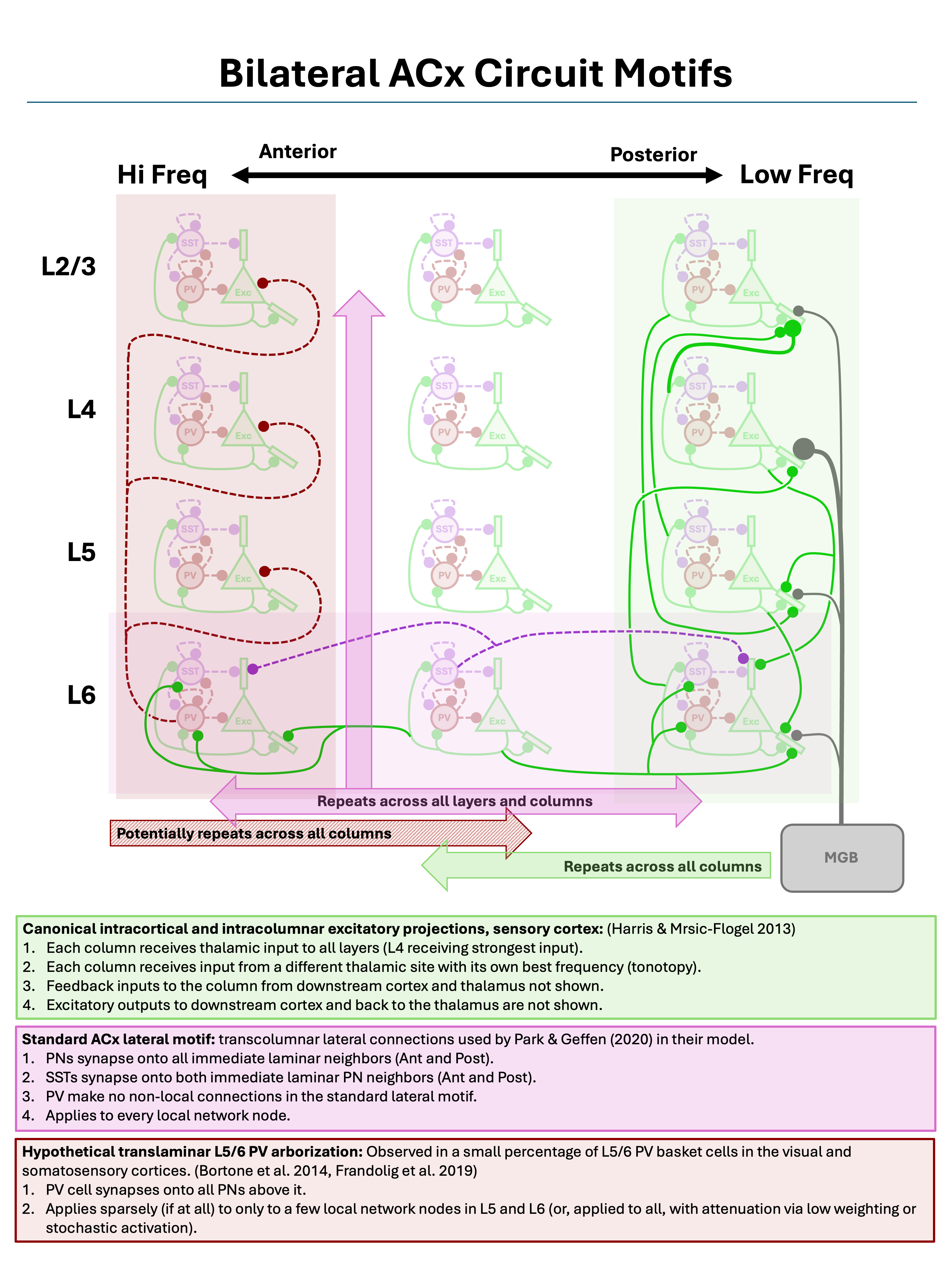 Image showing three canonical sensory cortex circuit motifs.