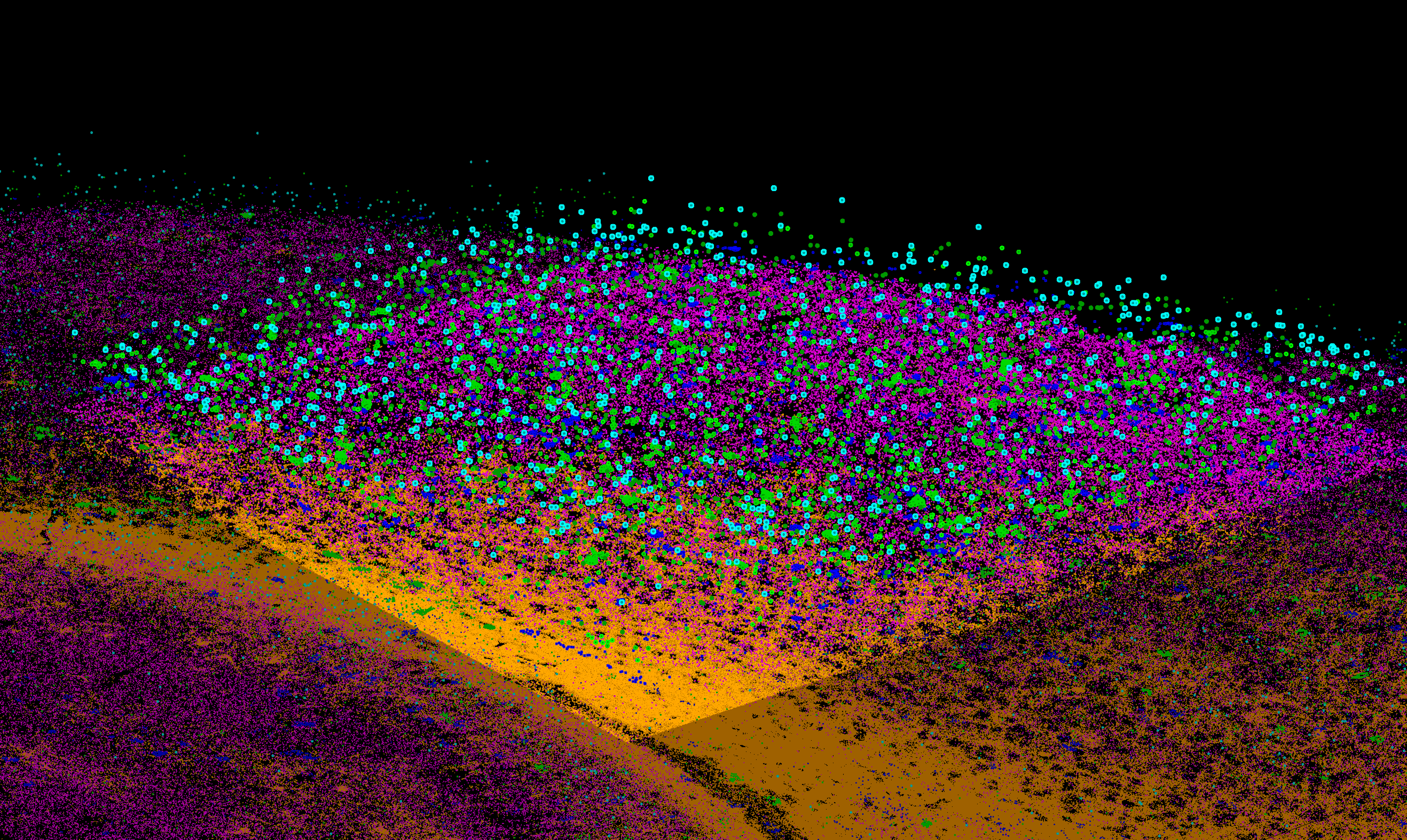 MERFISH Spatial Transcriptomics