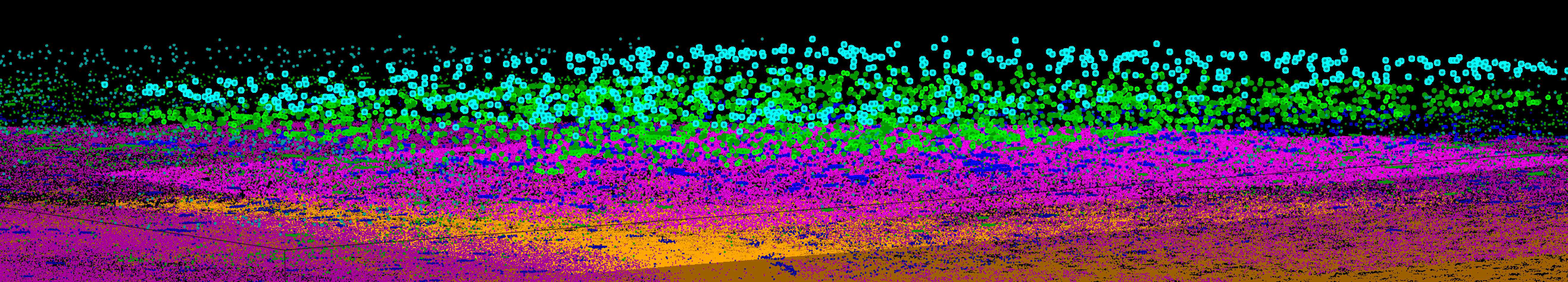 MERFISH Spatial Transcriptomics