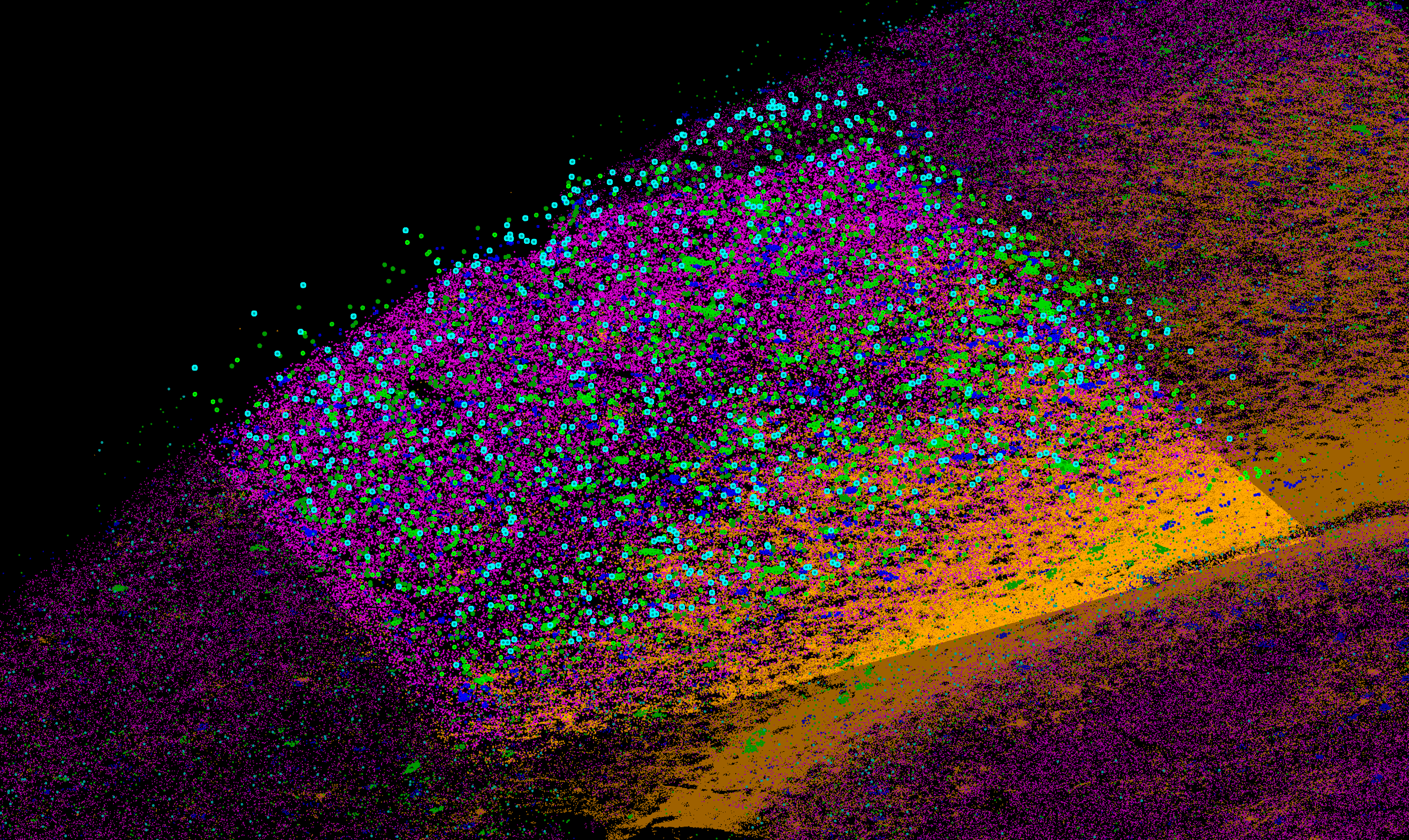 MERFISH Spatial Transcriptomics